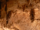 PICTURES/Caverns of Sonora - Texas/t_Bunched Stalagtite1.JPG